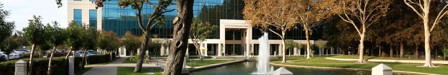 ufcw plaza